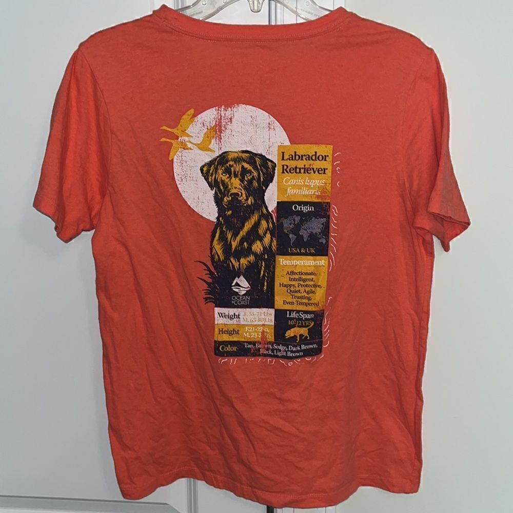 Women’s orange peach summer Labrador retriever dog facts T shirt ultimate soft L